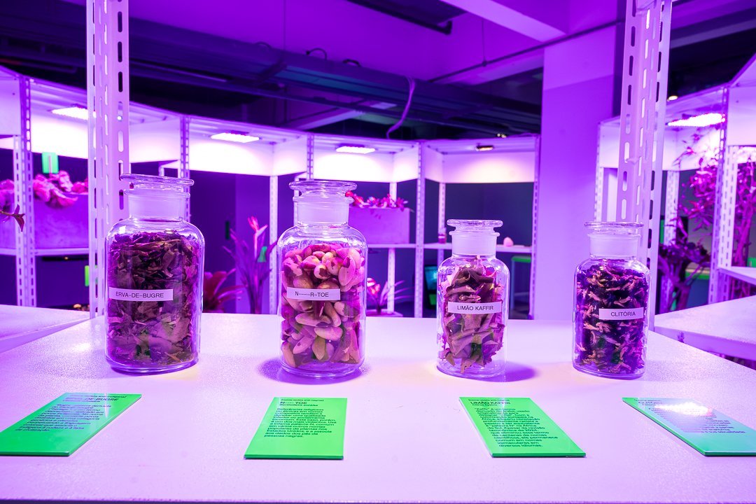 Botannica Tirannica: recipientes com plantas e materiais botânicos. O Mundo Através da IA, Sesc 24 de Maio, São Paulo, 2026.