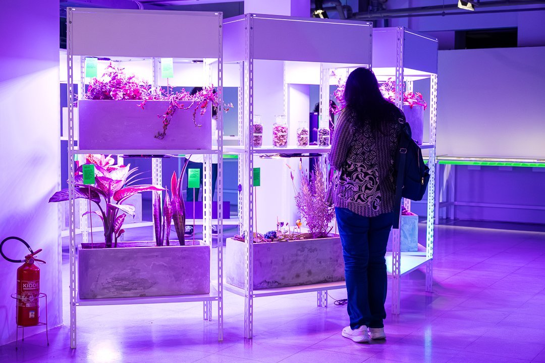 Visitante diante das plantas e recipientes de Botannica Tirannica. O Mundo Através da IA, Sesc 24 de Maio, São Paulo, 2026.