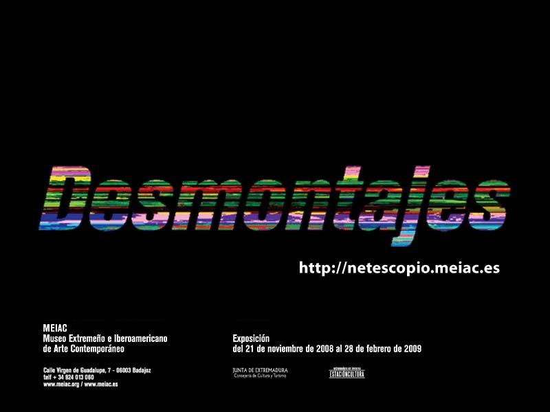 Netescopio: visualizador de arte em rede para preservar obras digitais
