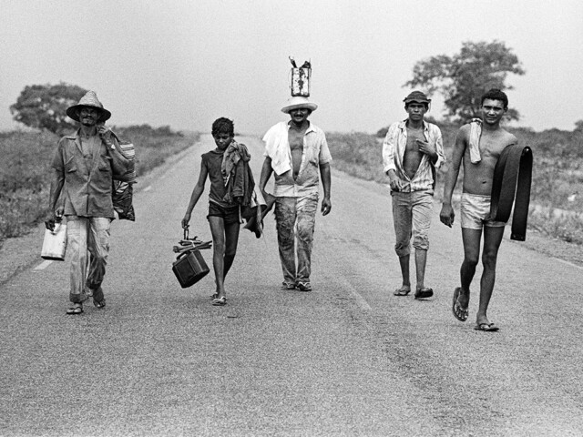 Monica Zarattini - Plano, Seco e Pontiagudo