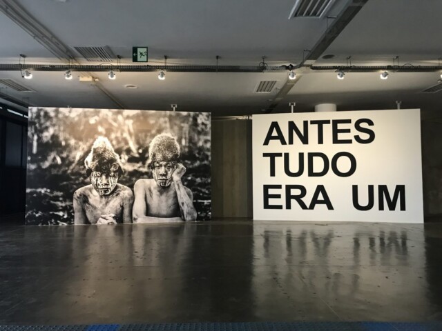 Sofia Borges. 33 Bienal. Foto Giselle Beiguelman